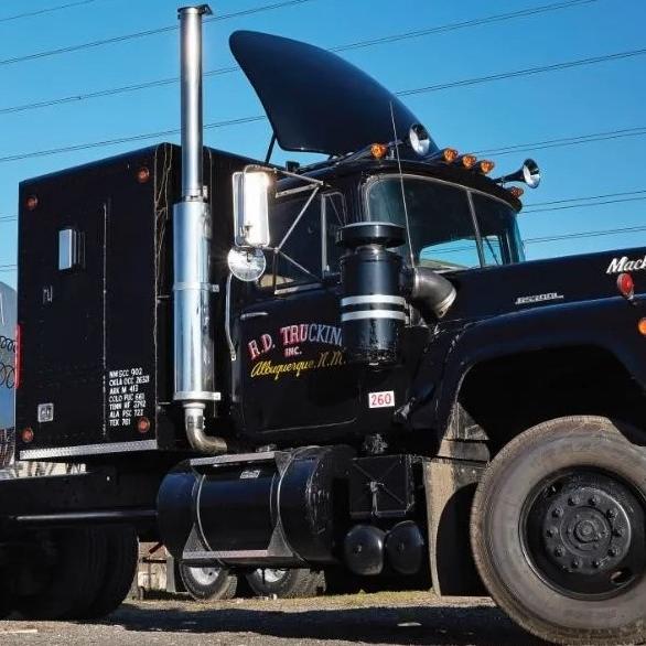 Mr_Truckerbaer